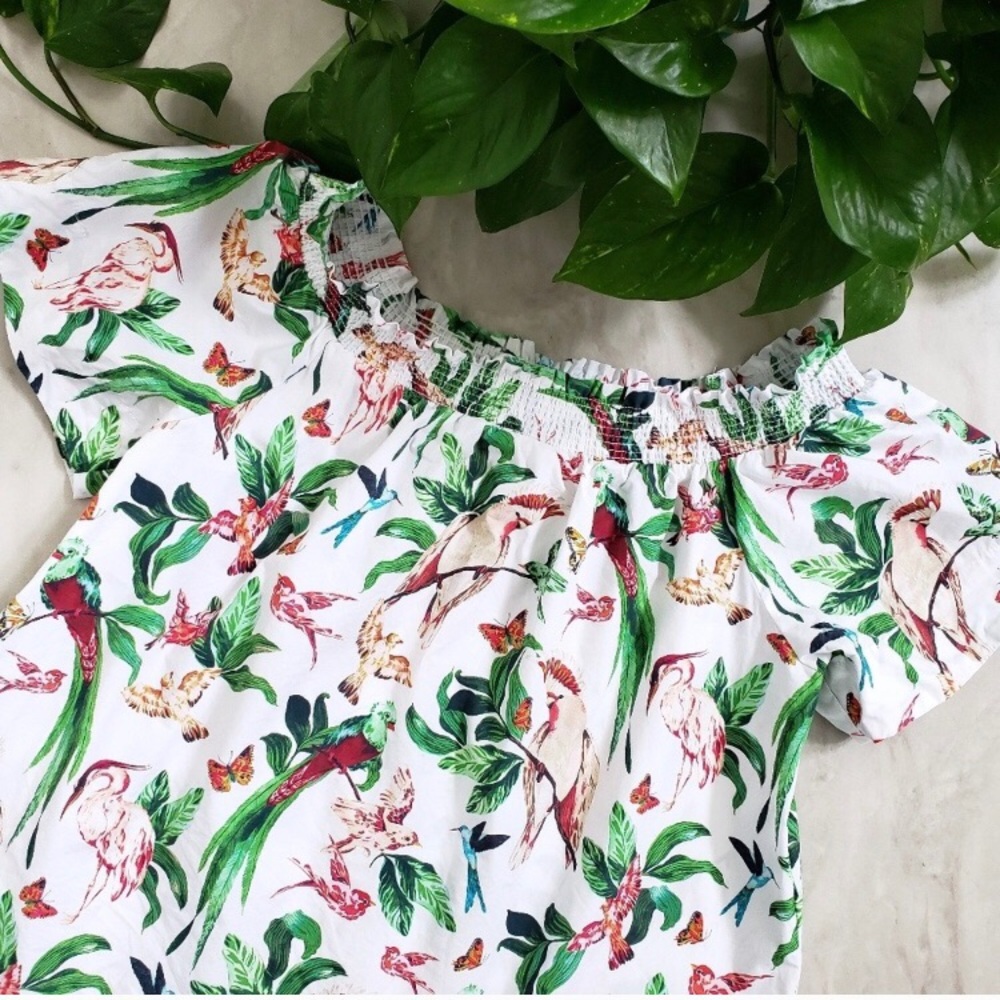 Ann Taylor Bird Print Dress